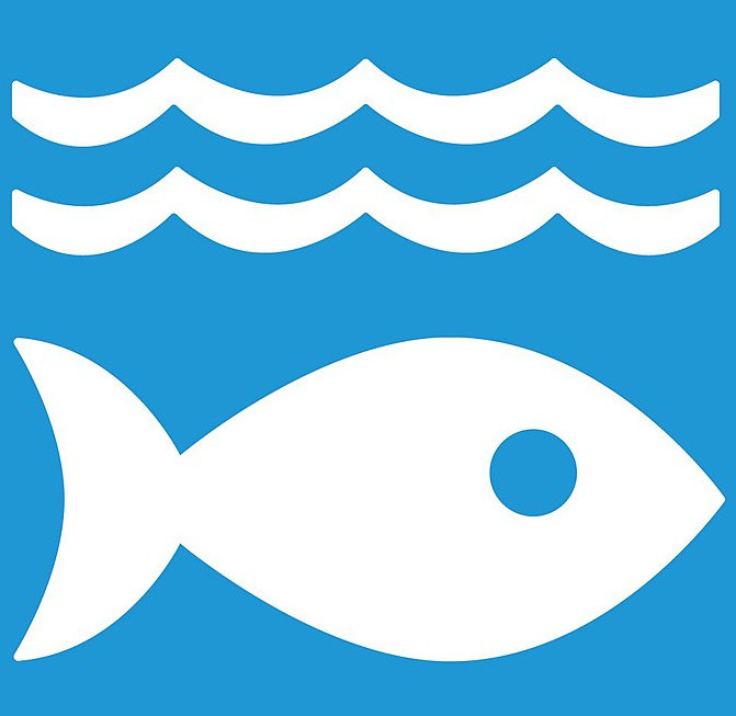 Logo peixe